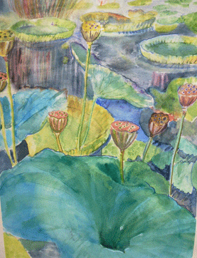 Lilly-seed-pods
