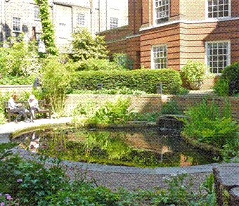BMA-garden-pond